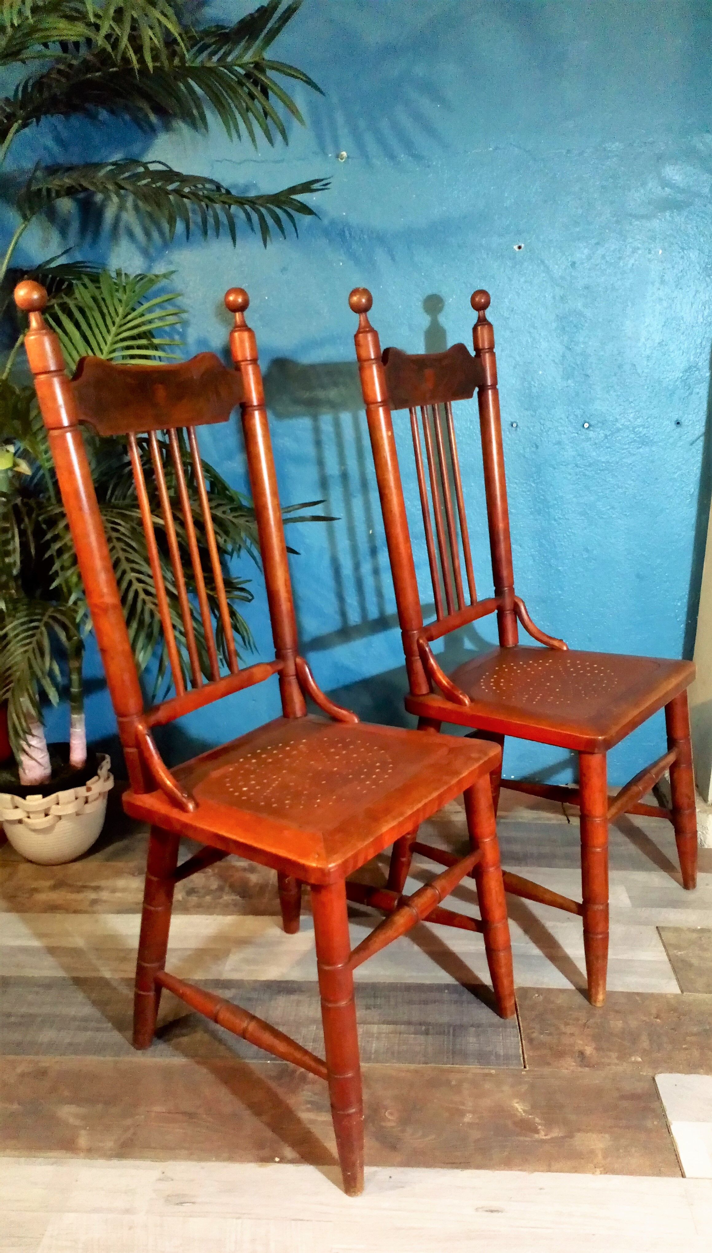 Chaises Autrichiennes début XXème