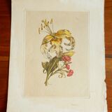Old botanical plate Yellow lily and pink carnations of the poet