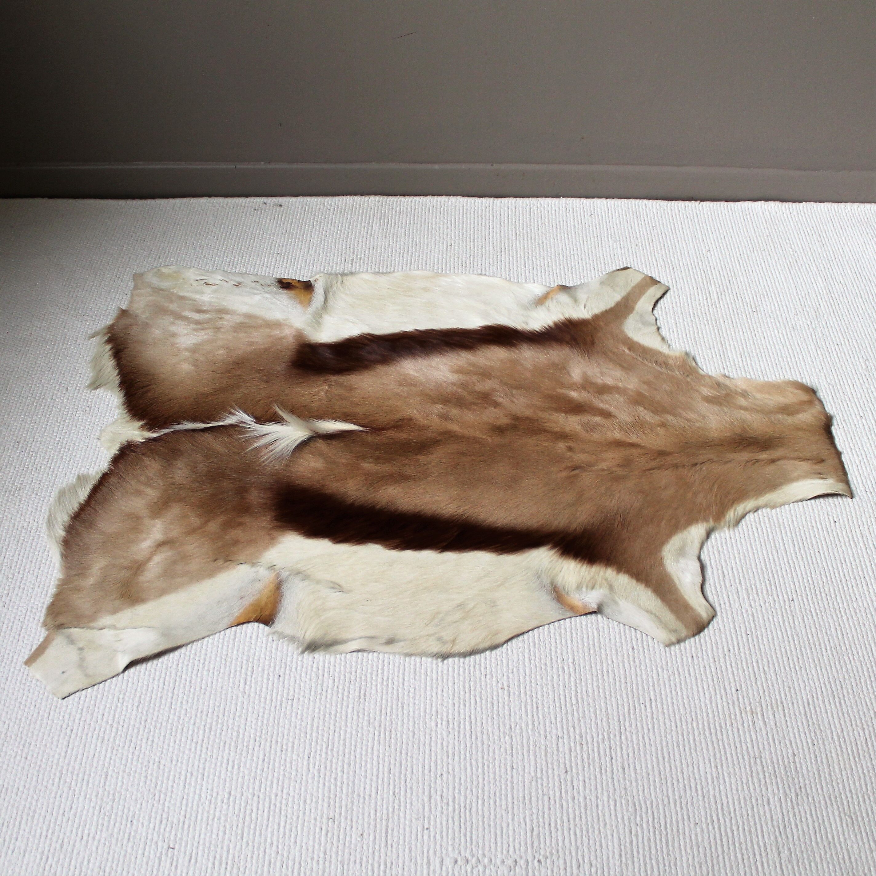 Vintage goat skin