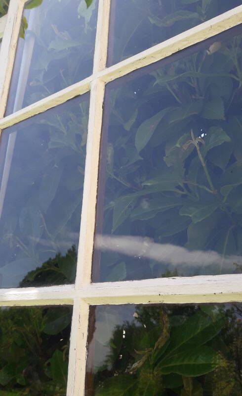 Lot of 4 oak windows H141xL112/117cm old small panes