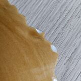 Plate barbotine vine leaf