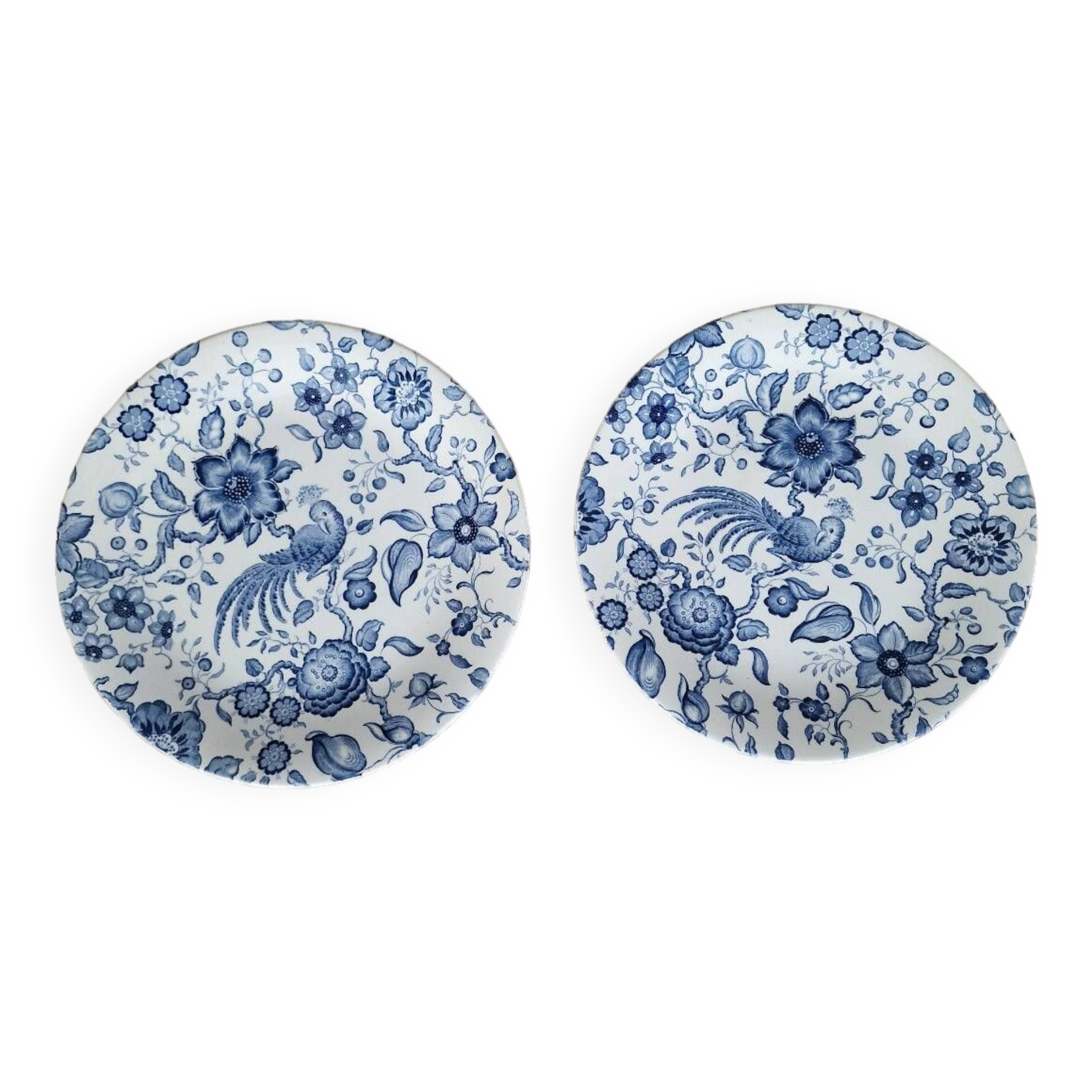 2 Villeroy and Boch Paradiso dinner plates