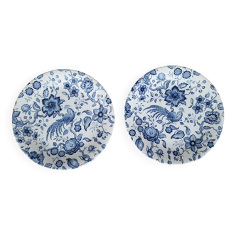 2 Villeroy and Boch Paradiso dinner plates