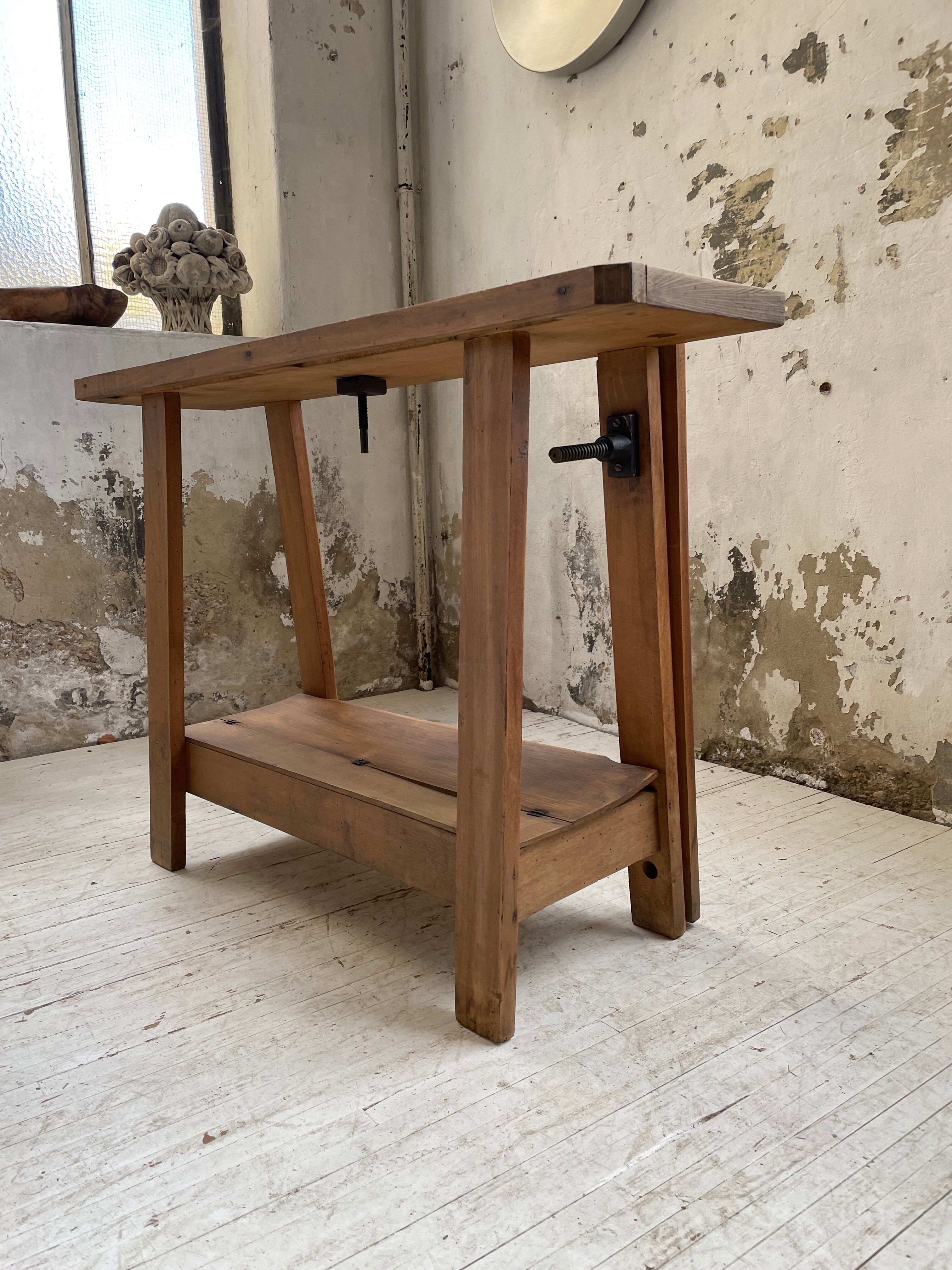 Established XS in cherry tree