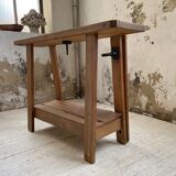 Established XS in cherry tree