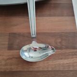 Sauce ladle
