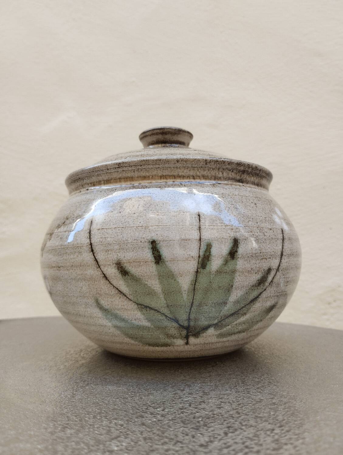 Covered enameled earthenware pot