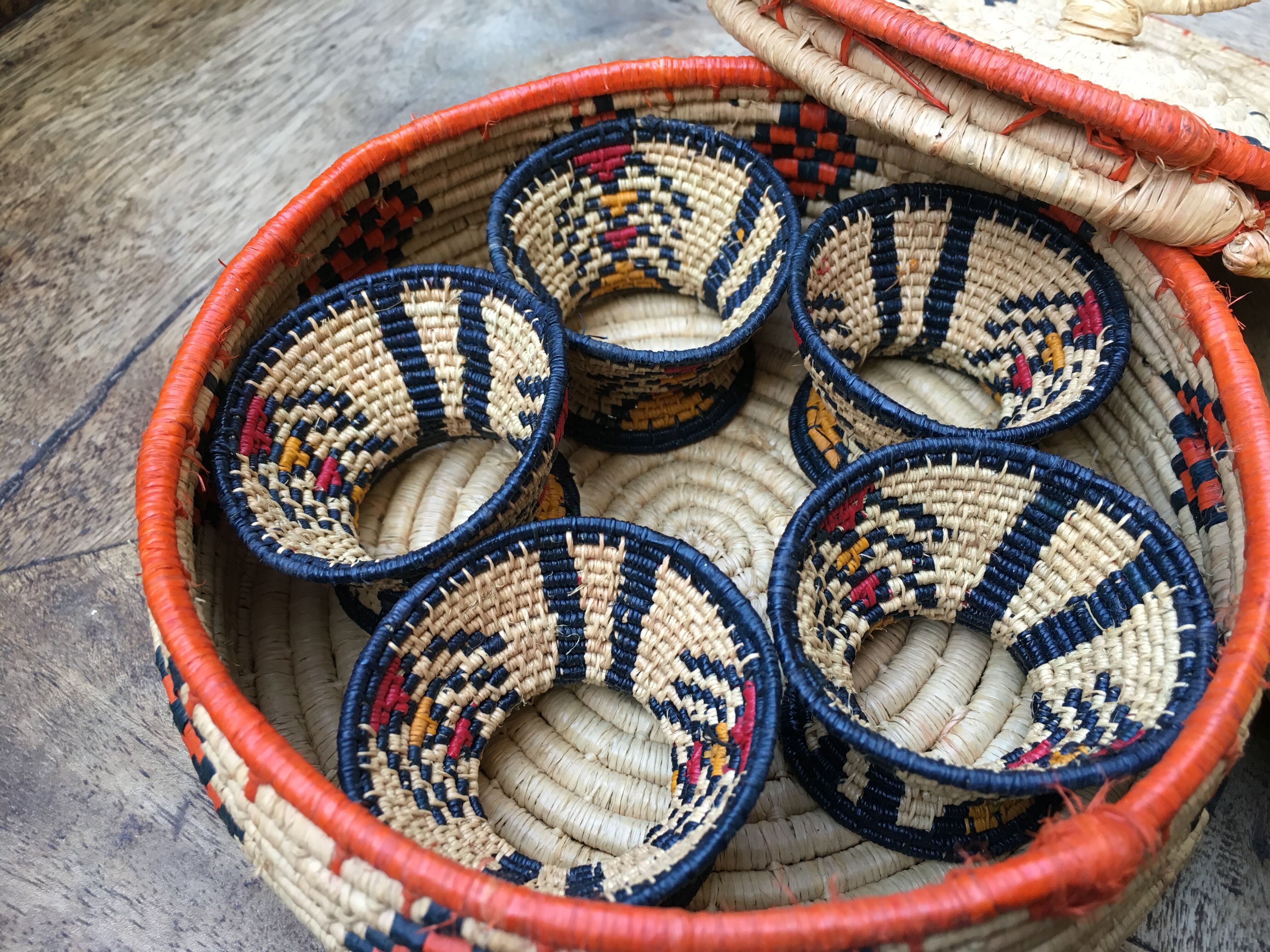 African lidbox and raffia cockroaches