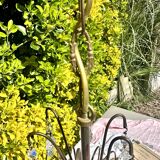 Magnificent Cascade Chandelier in Brass & Crystal Glass 1970s Vintage