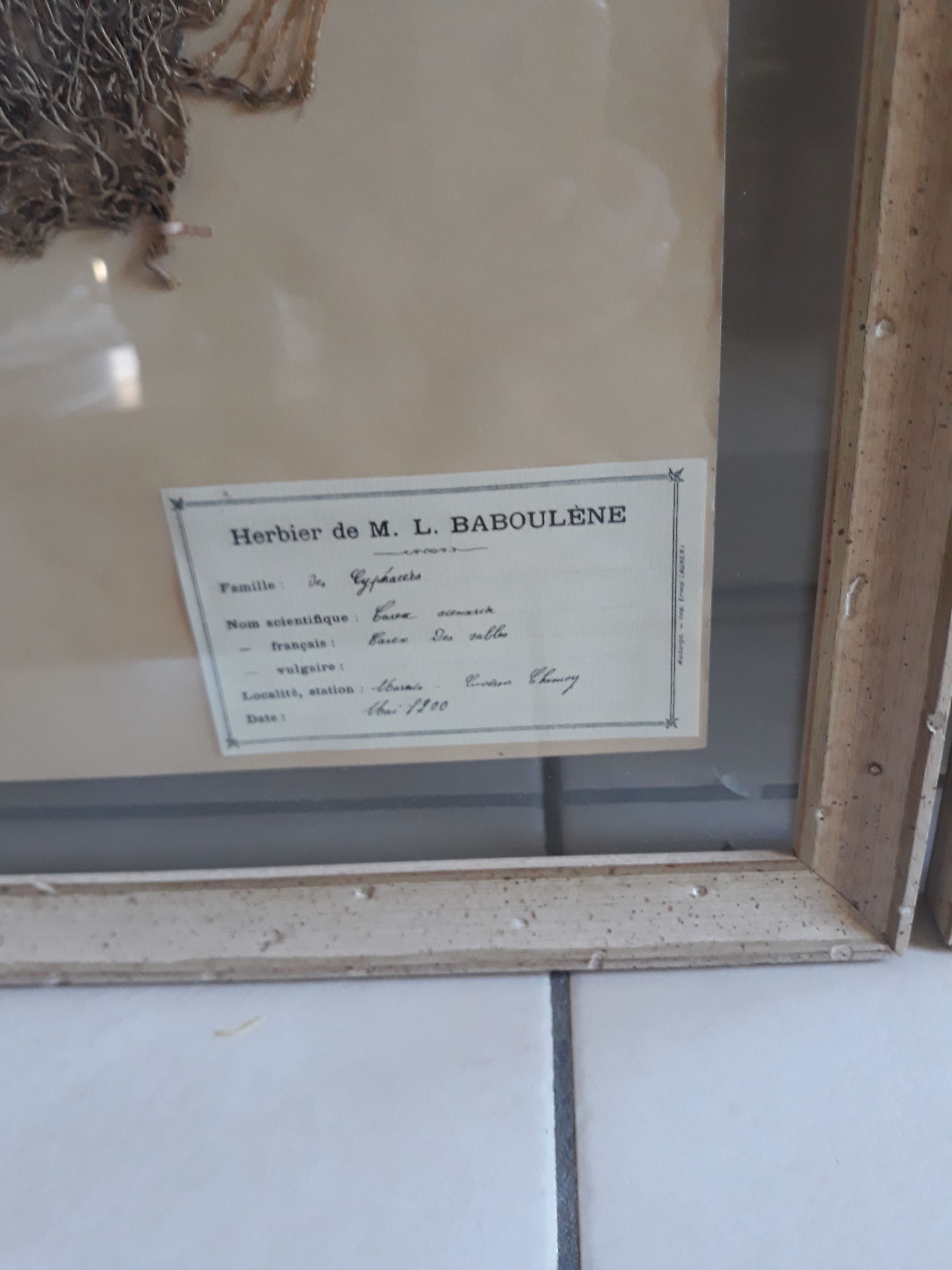Set of 3 seagrass boxes M L Baboulene dating back to 1900