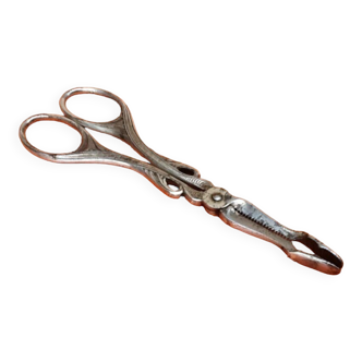 Old pair of sugar-cutting scissors