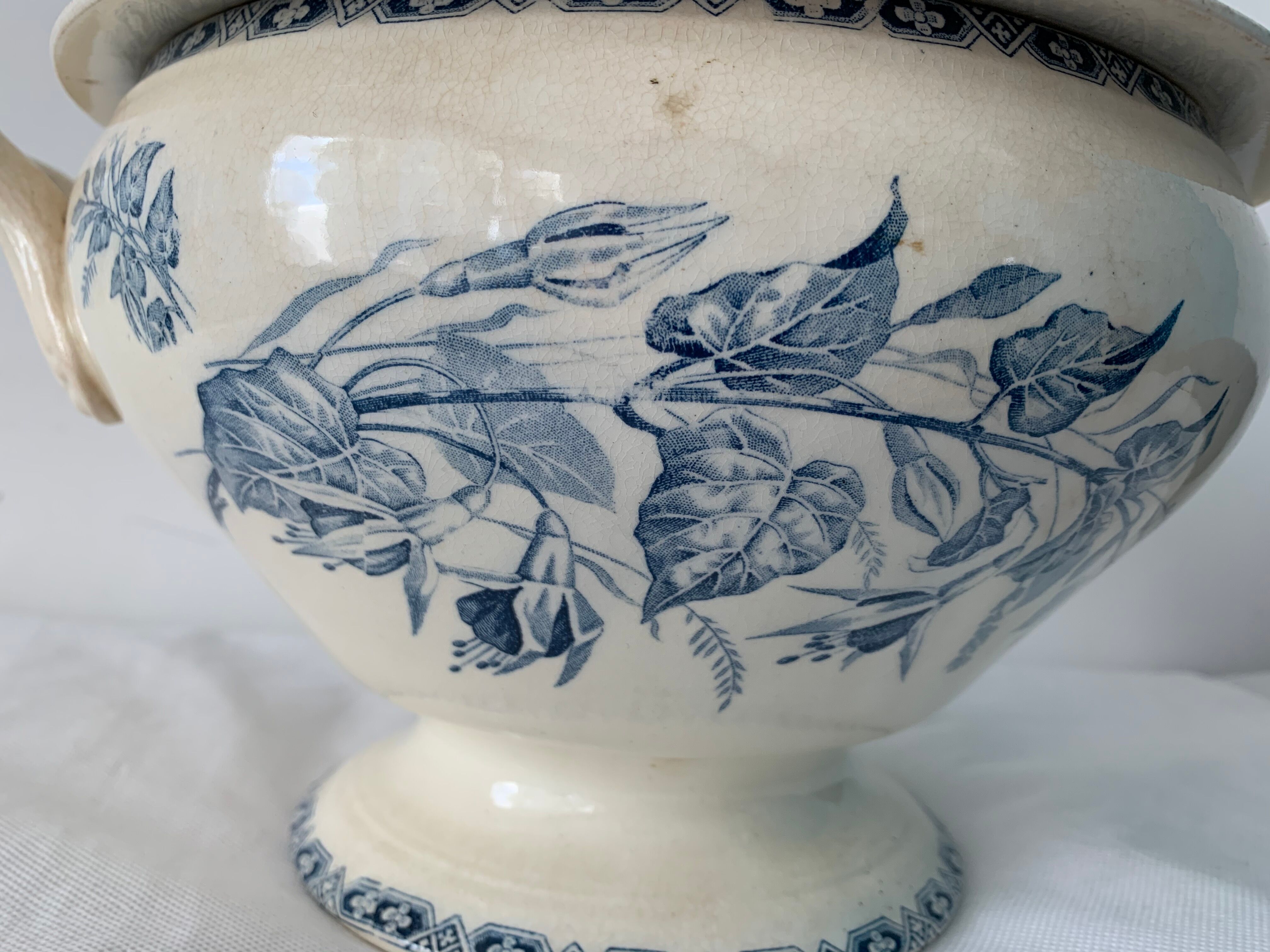 Old blue soup, Terre de Fer, martha model