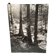 Film photograph by bernard darot, afiap club nantais, flow of light in the forest