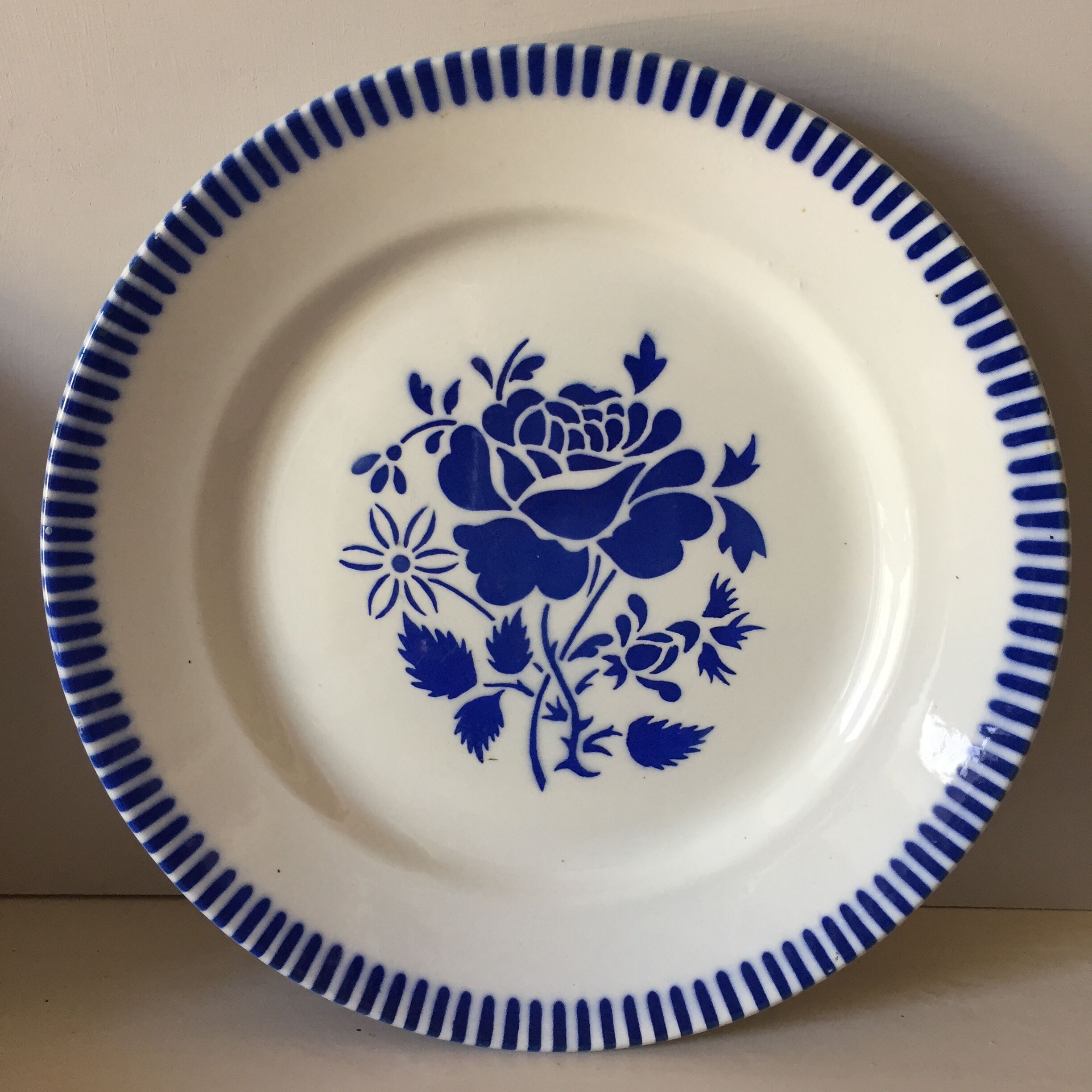 6 dinner plates - lunéville model evian