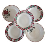 Lot 5 mismatched plates iron earth