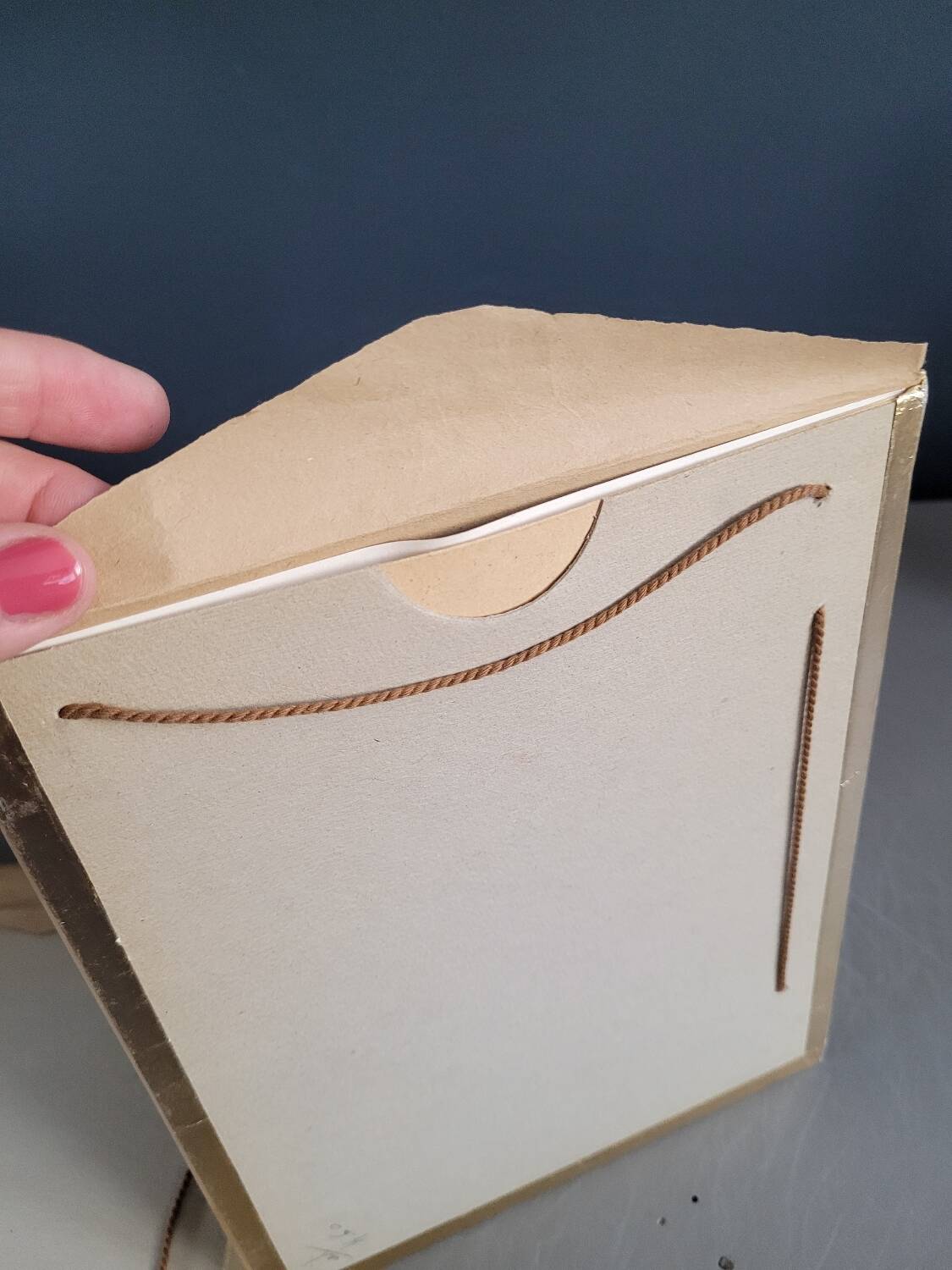 Pair of old silver photographs of insects S Celebonovic