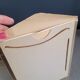 Pair of old silver photographs of insects S Celebonovic