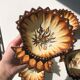Paul Fouillen shell pocket emptier