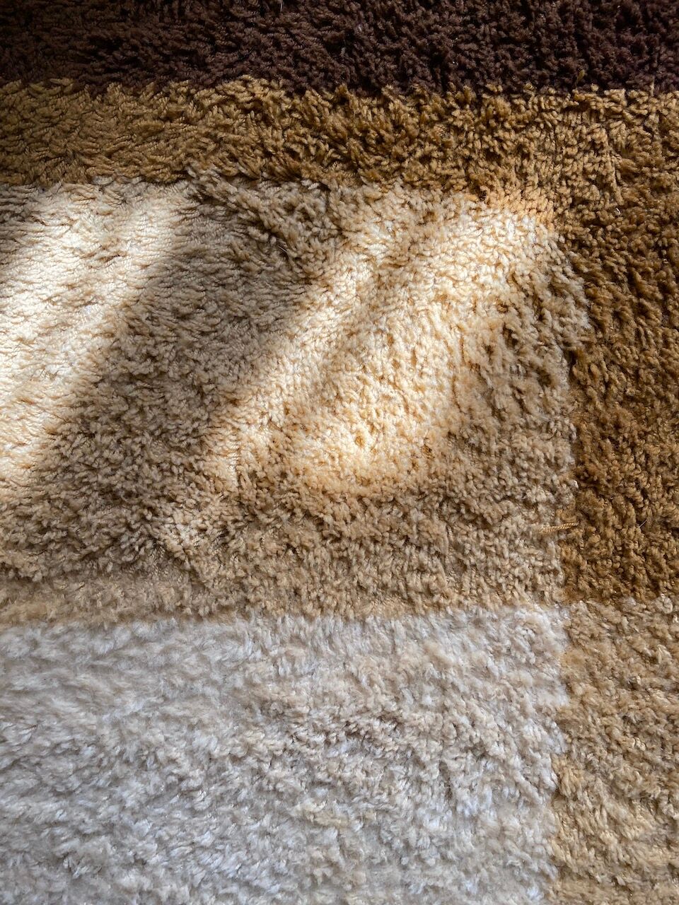 Pure wool carpet 250x350cm