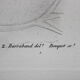 Engraving birds - chalcography of the louvre original. de redouté - ibis sacré and ibis noir