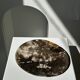 Dish in petrified wood