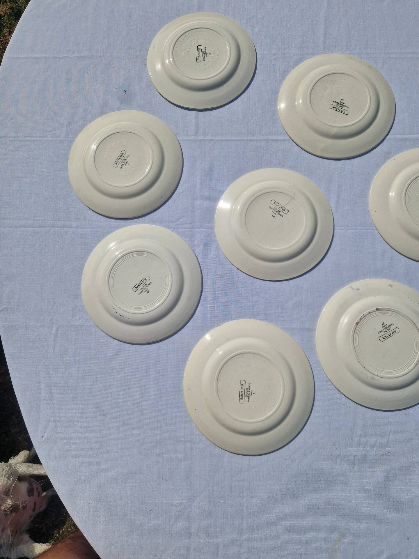Set of 8 Flat Plates Barfleur Model Sarreguemines Manufacture