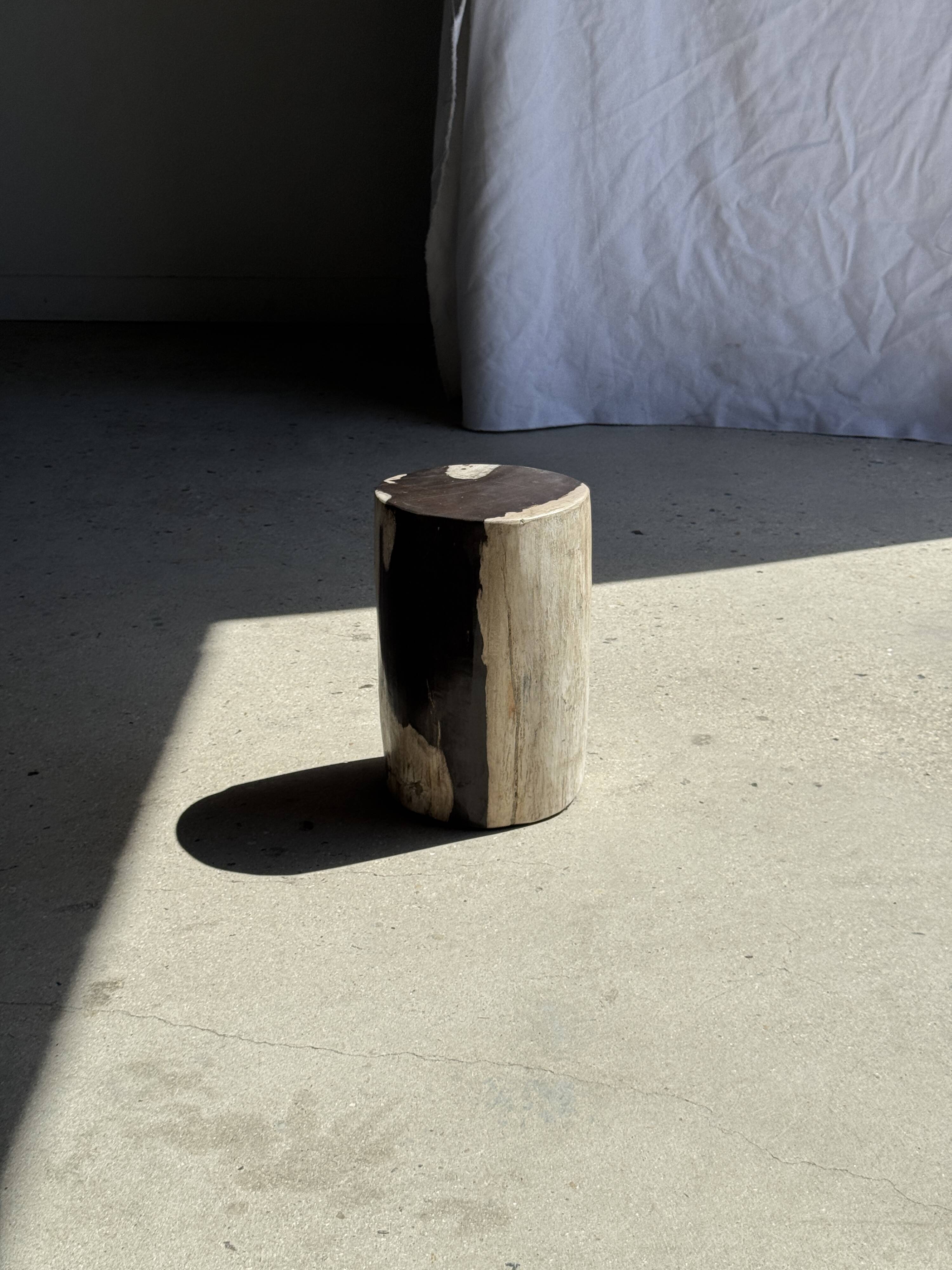 Small side table in black and white petrified wood H28 D18