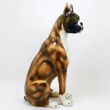 Life-size boxer dog statue in majolica, glazed ceramic, Italy, 1970s.