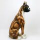 Life-size boxer dog statue in majolica, glazed ceramic, Italy, 1970s.