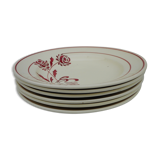 Six hollow earthenware plates