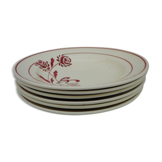 Six hollow earthenware plates