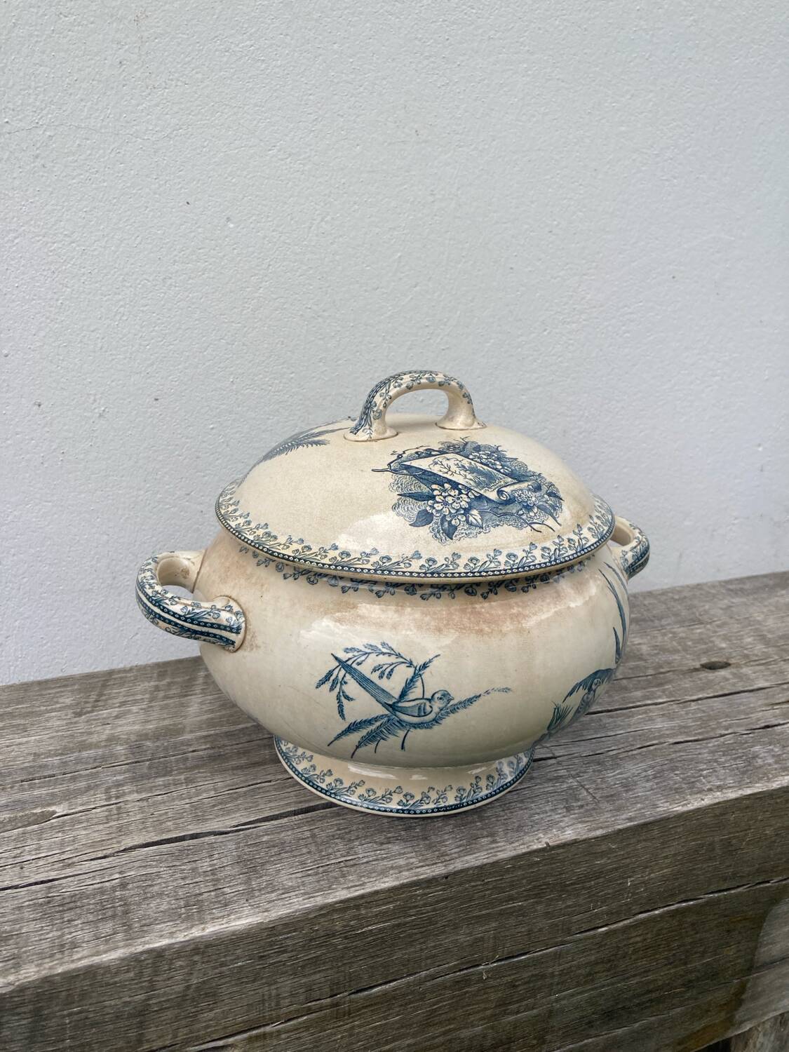 Earthenware tureen tureen Pexonne birds