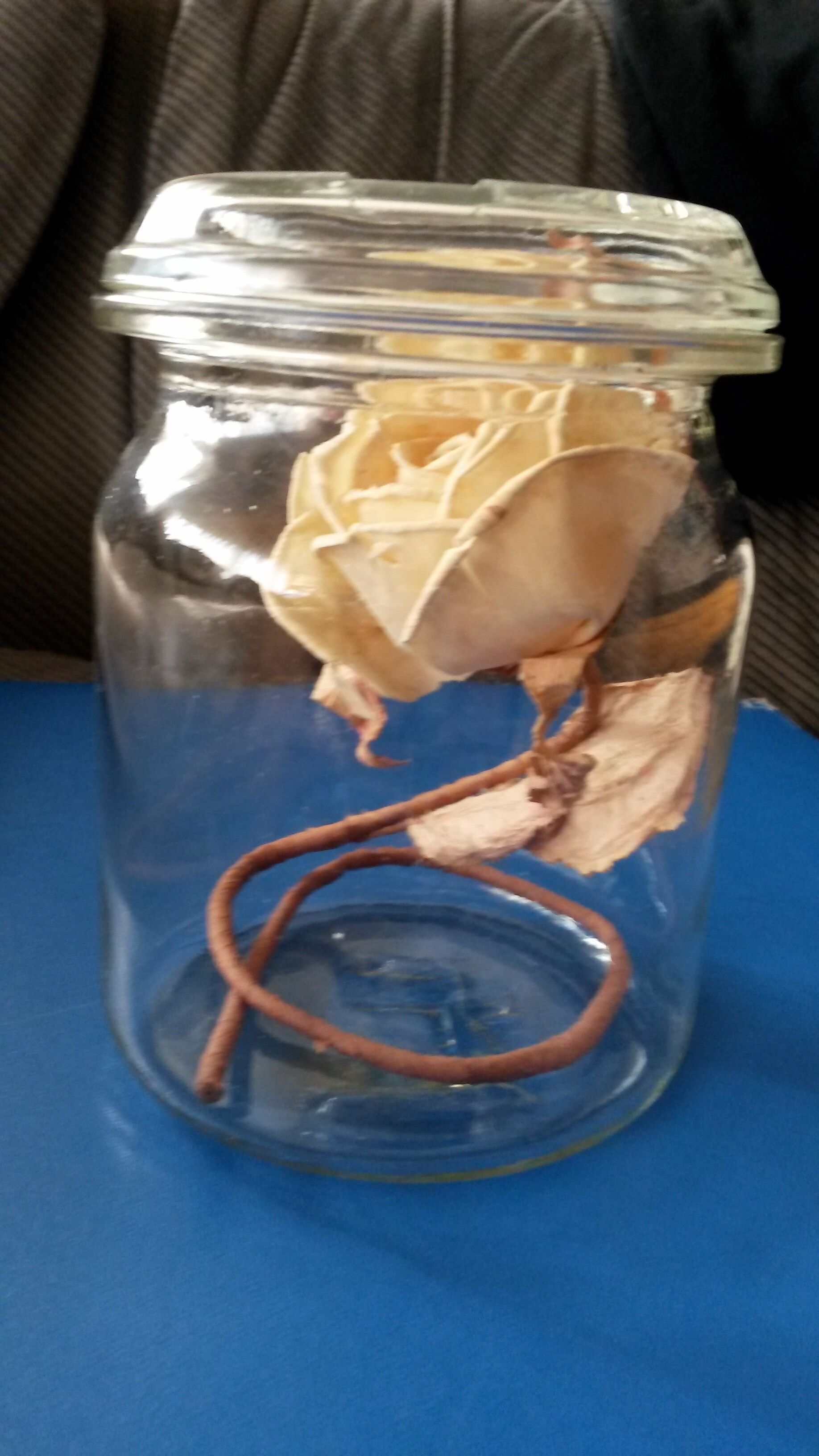 Jar former bvb 50s