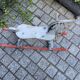 Vintage rocking horse