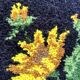 Tapis mural vintage