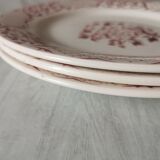 Assiettes plates Versailles