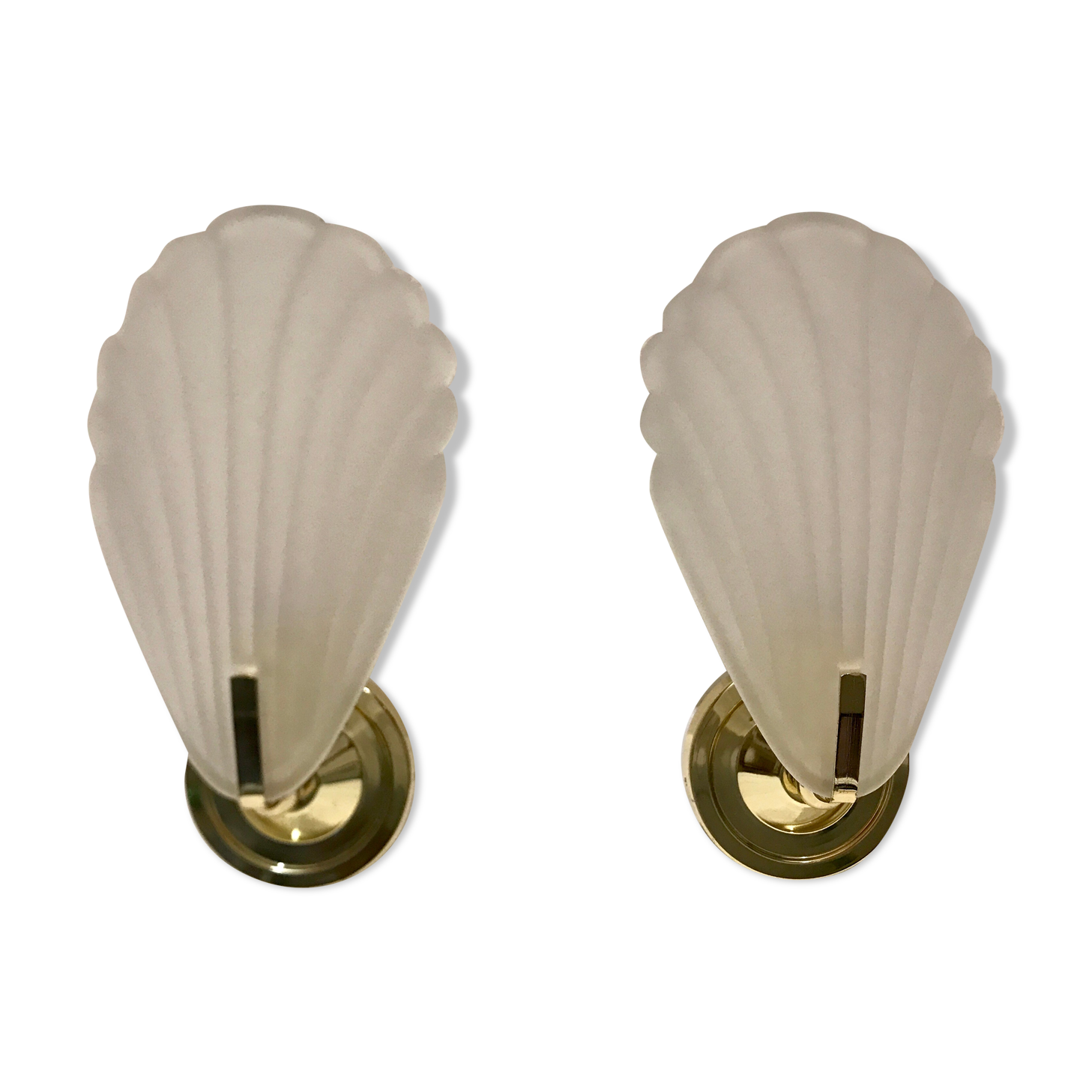 Pair of shell sconces