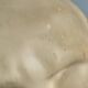 Plaster head