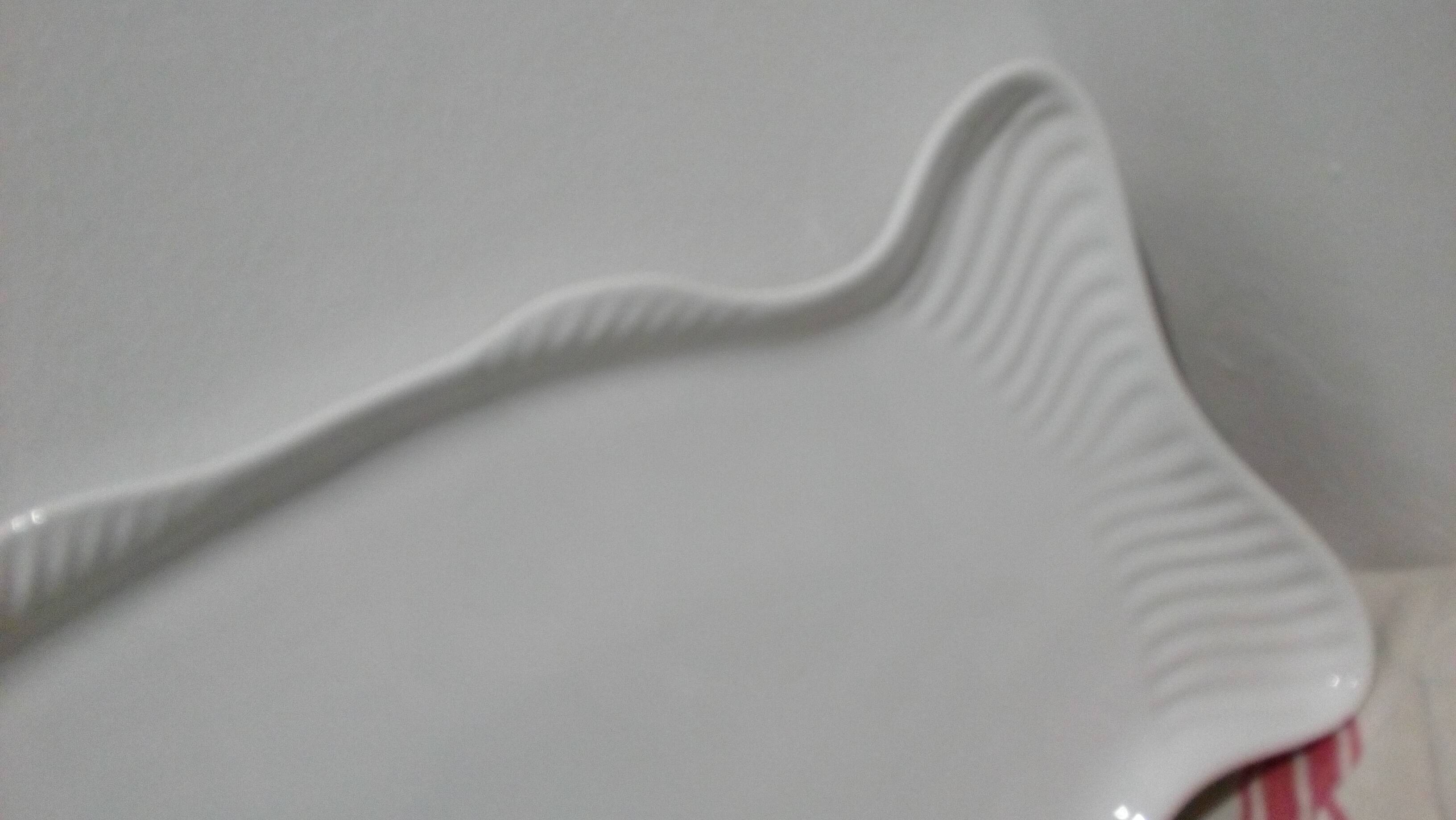 White porcelain fish dish