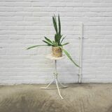 marble plant table