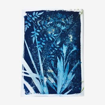 Botanical Cyanotype