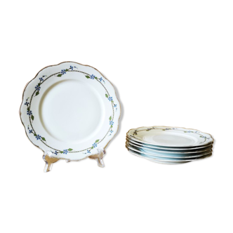 Set of 8 plates