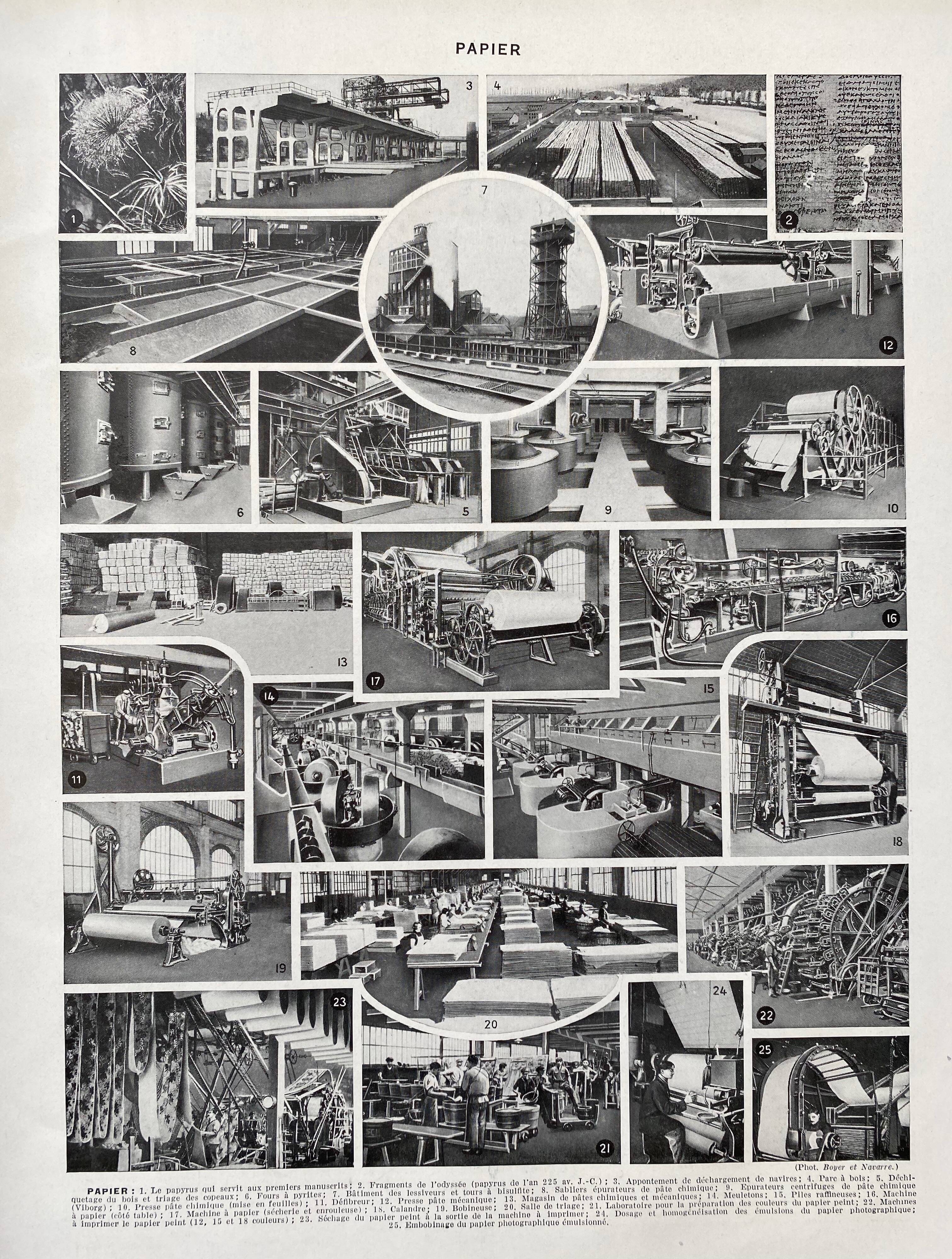 Old illustration Millot "butterflies"