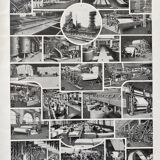 Old illustration Millot "butterflies"