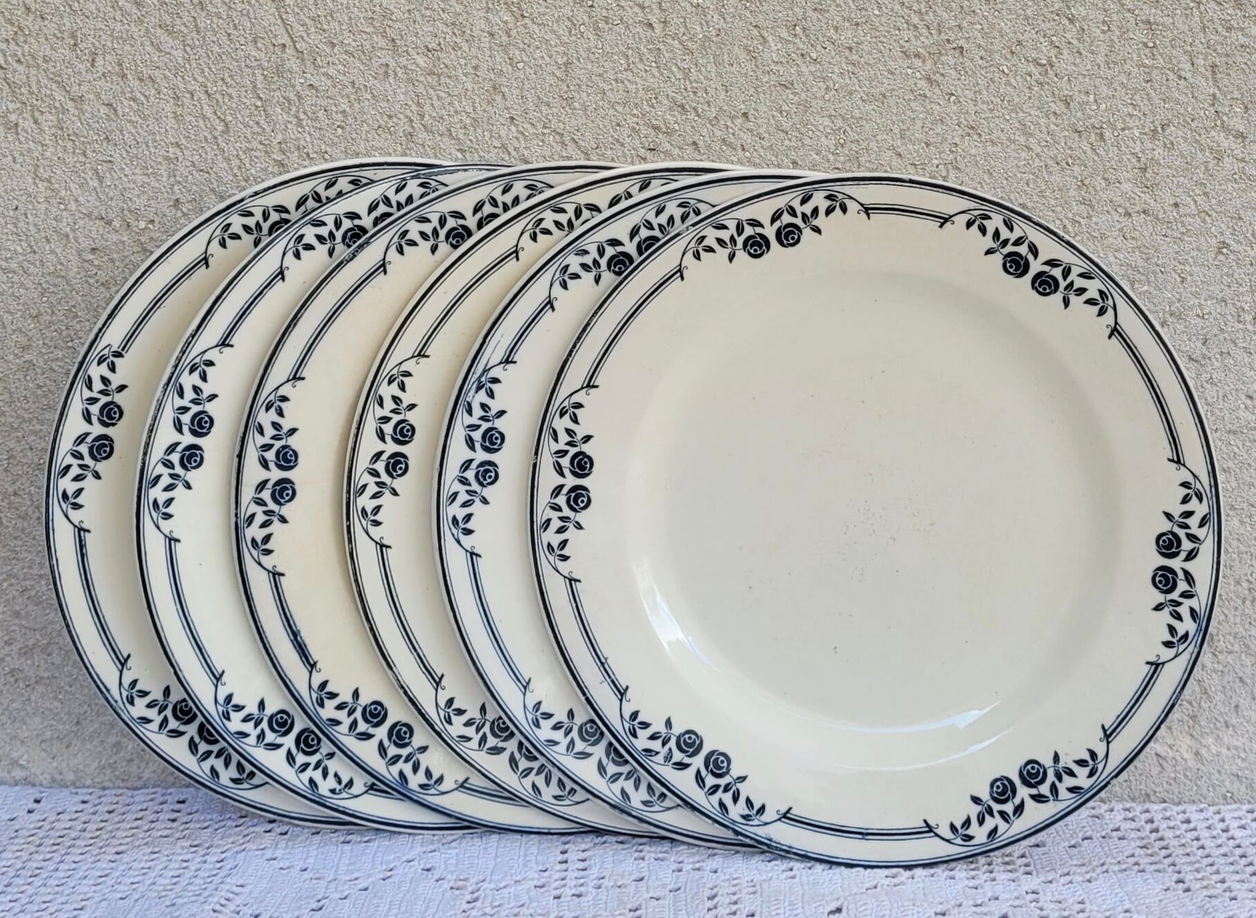 Set of 6 flat plates Salins Model Saussure A.B. Iron Earth