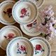 Set of 8 vintage soup plates - Janine and Cannes model by Digoin Sarrr