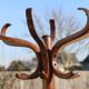 Baumann parrot coat rack simple dark beech