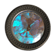 Blue butterfly board old metal frame