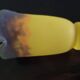 TULIP corolla - yellow-orange-brown marbled glass MULLER FRERES LUNEVILLE