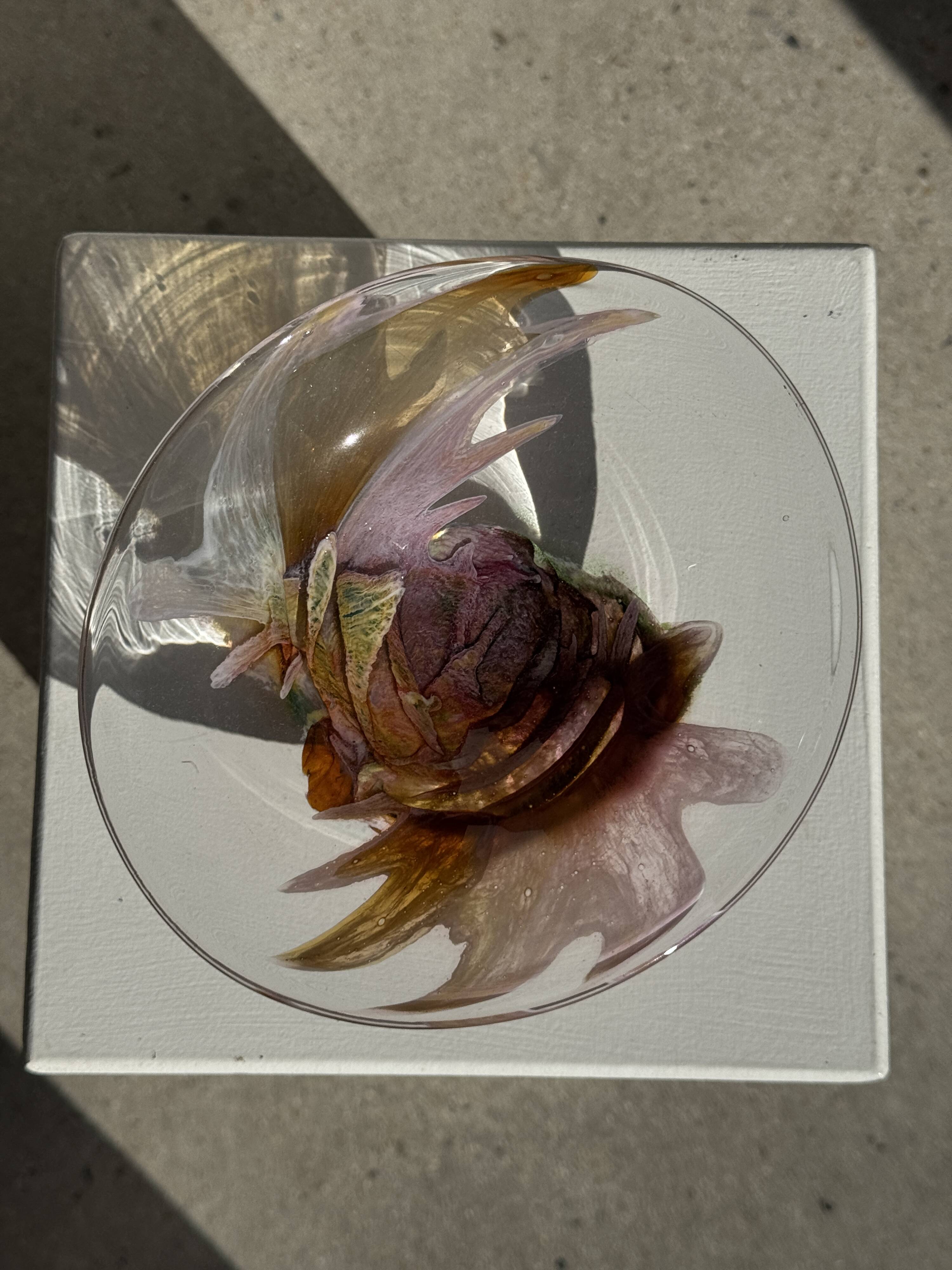 Contemporary pink blown glass bowl Carlos Vieira D21